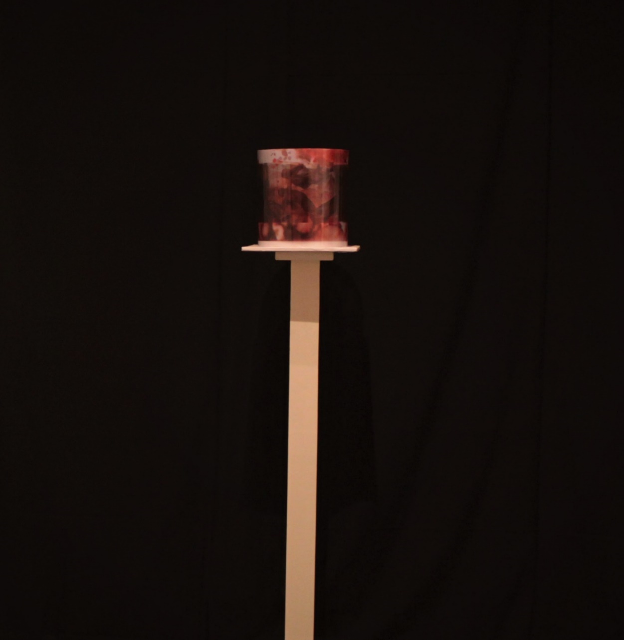 Kinetic installation component — a cylindrical drum printed with figures in red rotates on a slender white pedestal against a black backdrop, driven by a DC electric motor at 3 RPM.