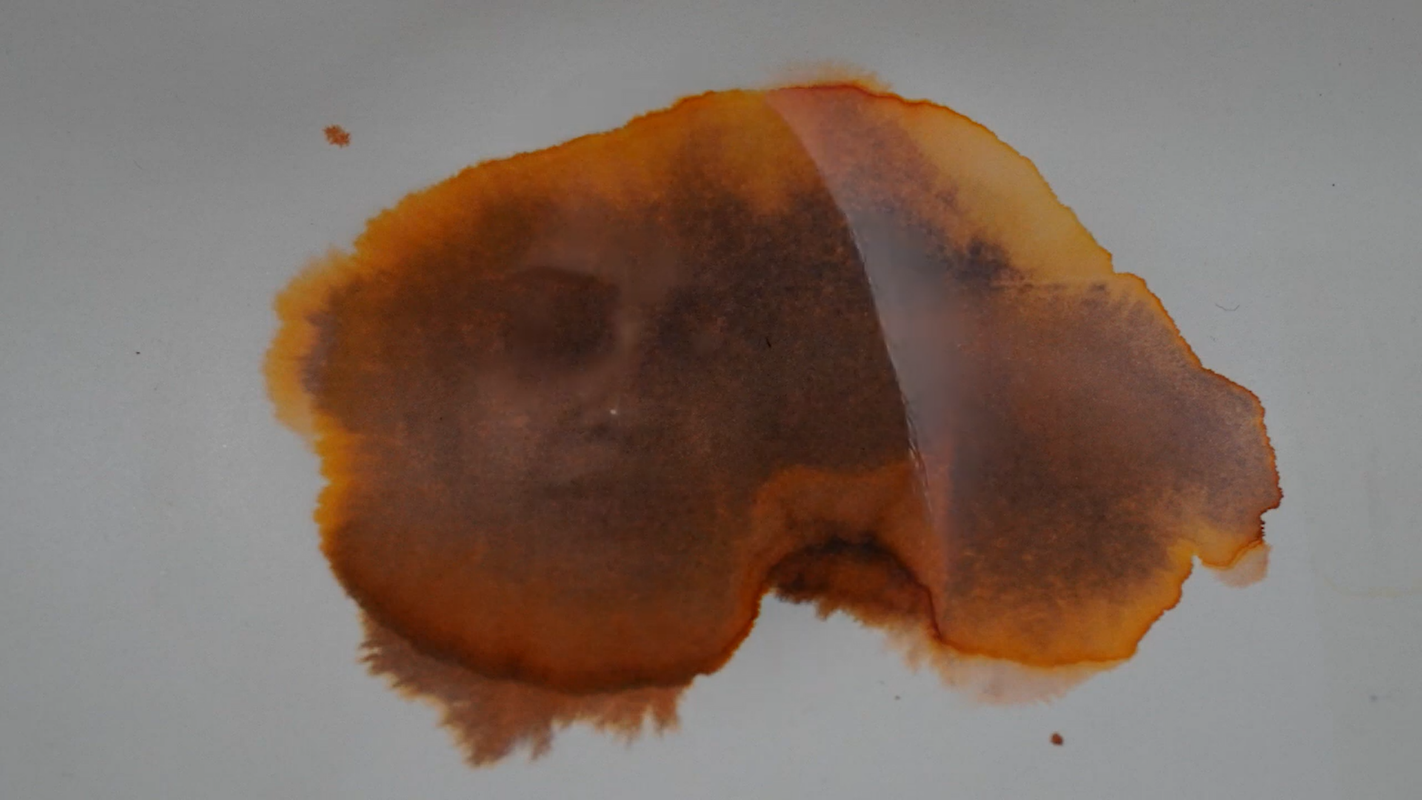 Still from I Was Still Silent — a ghostly woman's face emerges from an amber-brown organic stain or watercolour wash on white, the image half-obscured, evoking silence, erasure, and hidden presence.